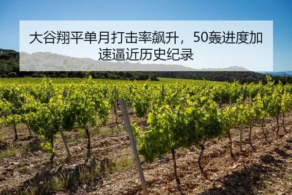 大谷翔平单月打击率飙升，50轰进度加速逼近历史纪录