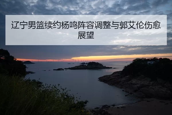 liao-ning-nan-lan-xu-yue-yang-ming-zhen-rong-tiao-zheng-yu-guo-ai-lun-shang-yu-zhan-wang-2-829.jpg