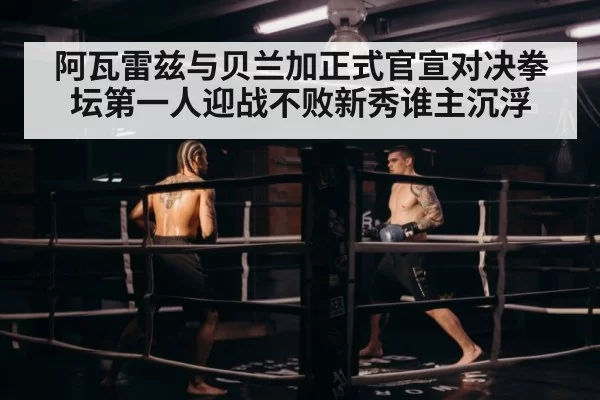 阿瓦雷兹与贝兰加正式官宣对决拳坛第一人迎战不败新秀谁主沉浮