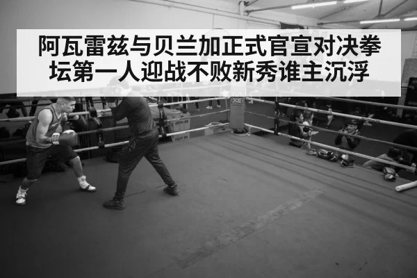 boxer training gym